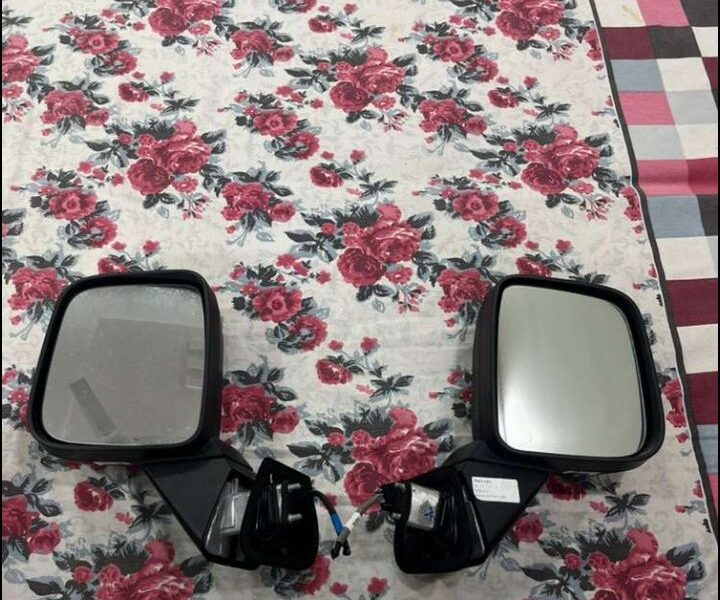 Thar ROXX Side Mirrors
