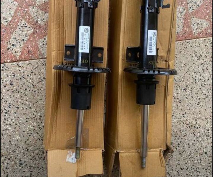 Polo Shock Absorber